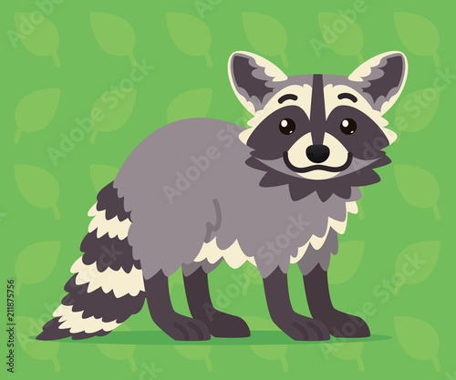 Cute raccoon standing. Vector illustration of a happy coon with striped tail on green background. Emoji. Element for your design  printing  stickers  chat. Grey coon in a flat cartoon style.