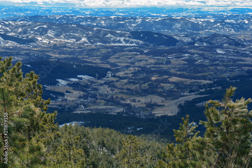 View of valley from mountain point with green pine tree in foreground