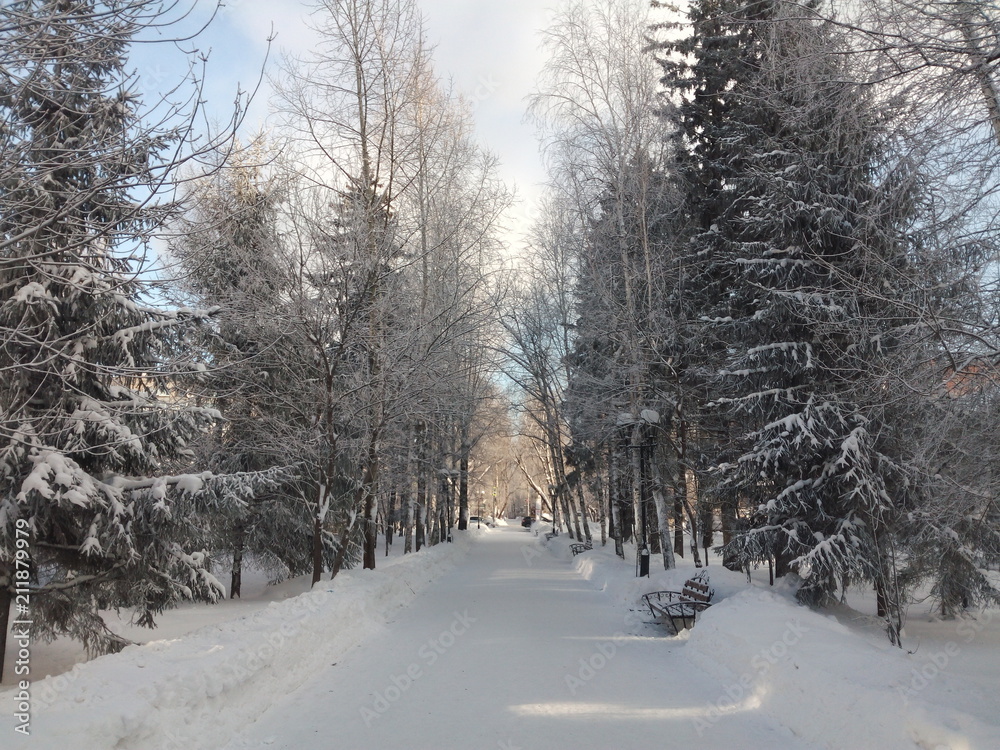 nature nature