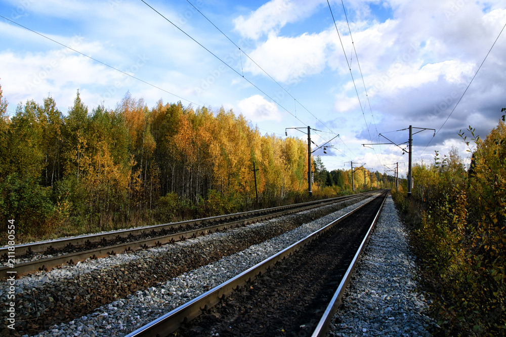 Railway in autumn forest Railway in autumn forest