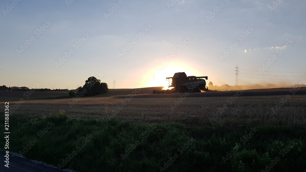Fototapeta premium harvester with sunset