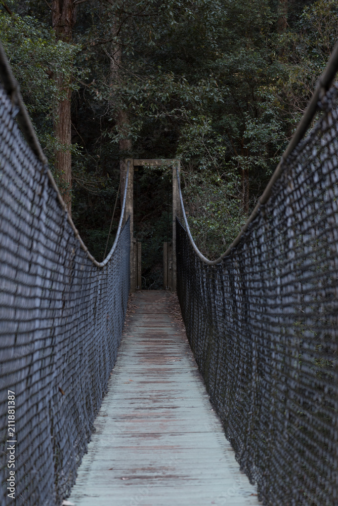 Obraz premium Bridge middle view