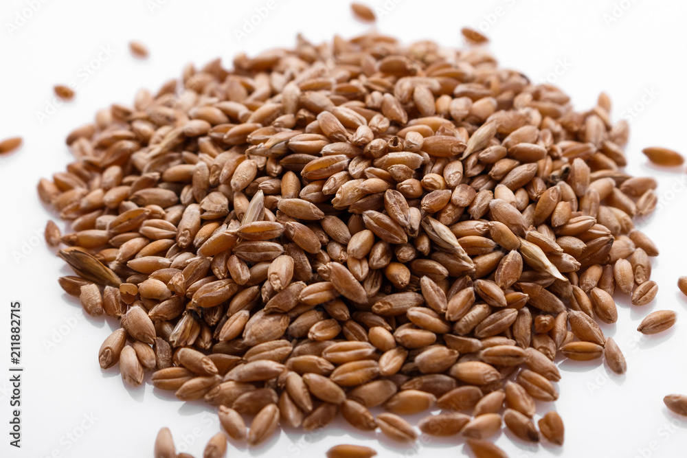 spelt seeds on a white acrylic background