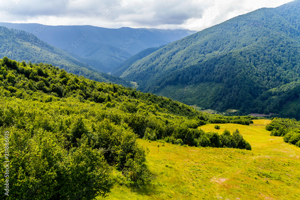 A sunny forest glade against the backdrop of a large mountain valley and a cloudy gray sky