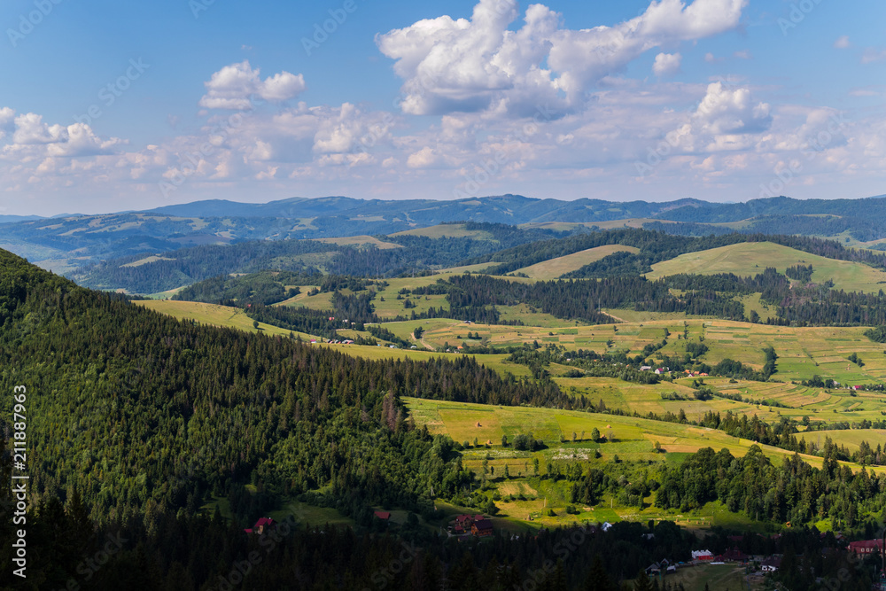A green valley with a coniferous forest on one side and high mountains covering the horizon on the other