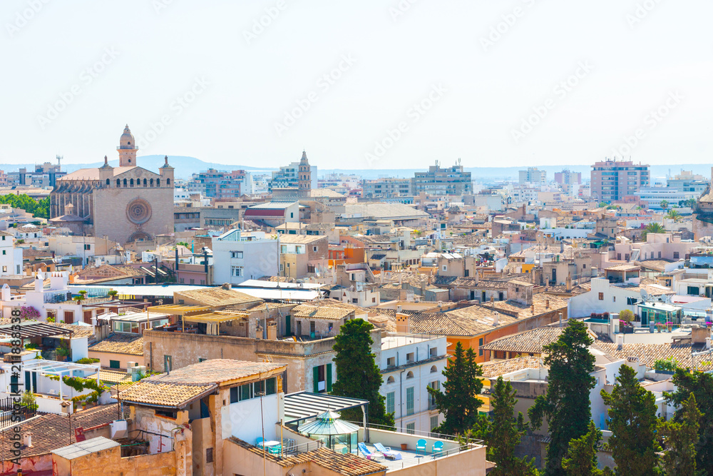 View over the rooftops of Palma de Mallorca with the mountains in the background from the terrace of the Cathedral of Santa Maria of Palma, also known as La Seu. 