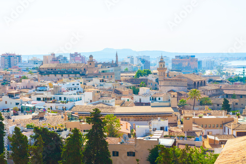 View over the rooftops of Palma de Mallorca with the sea and the mountains in the background from the terrace of the Cathedral of Santa Maria of Palma, also known as La Seu. Palma, Majorca, Spain