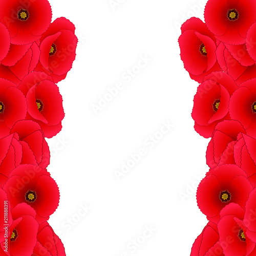 Fototapeta Naklejka Na Ścianę i Meble -  Red Corn Poppy Border