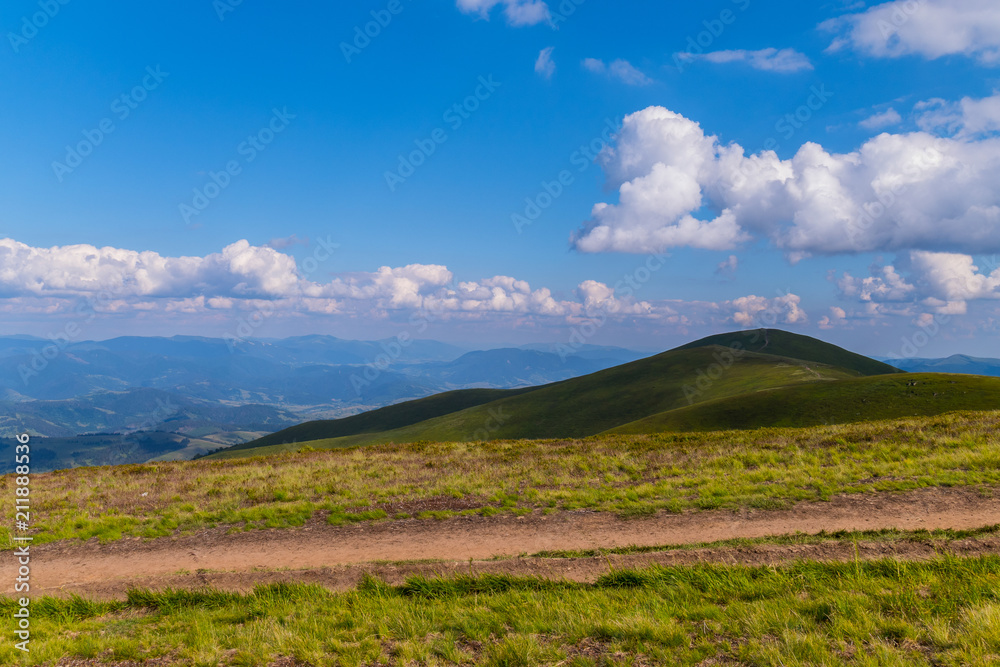 Naklejka premium Ground, dusty road going through the green, succulent grass in the mountains