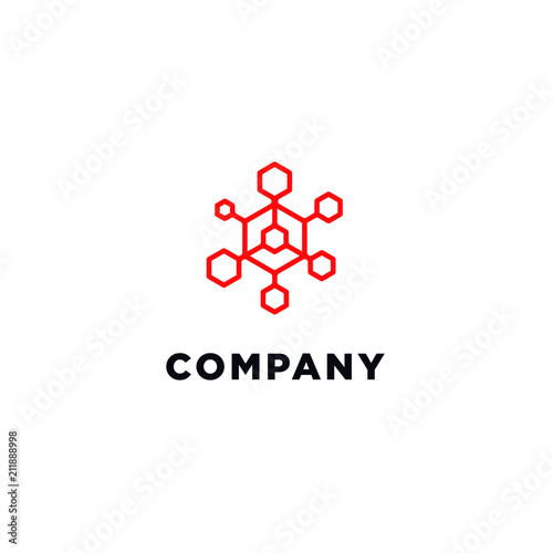 Hexagon Conection Logo photo