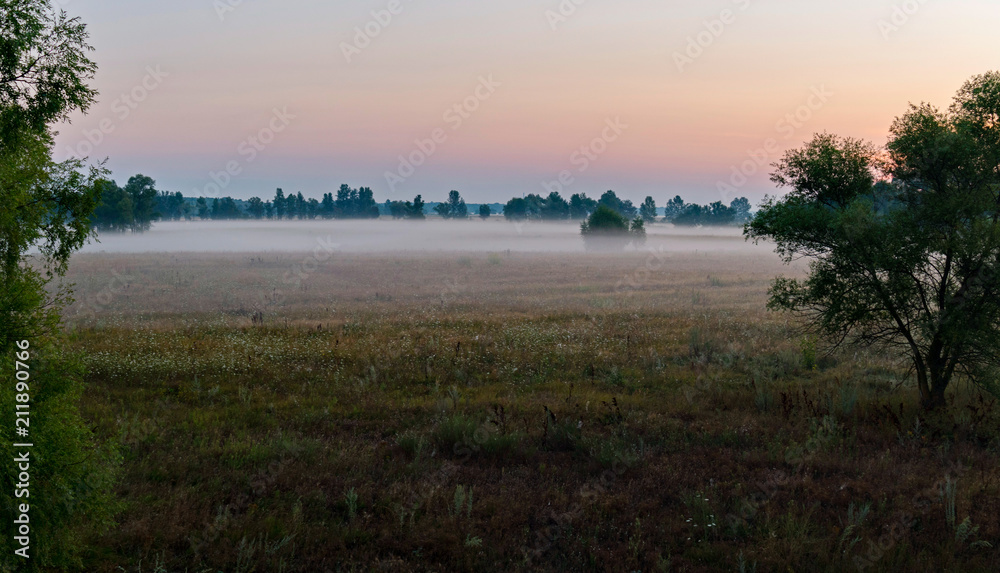 Cool pink dawn in a meadow filled with haze. Fresh aroma of herbs and morning