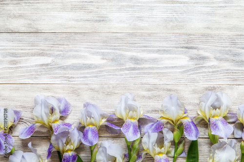 Fototapeta Naklejka Na Ścianę i Meble -  Image with iris.