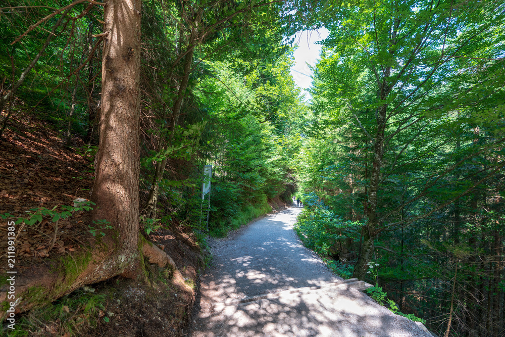Obraz premium Ruine Ehrenberg