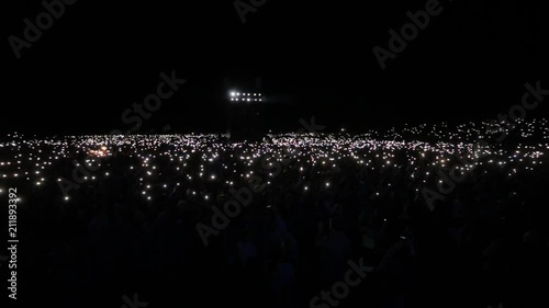 Arena cheering crowd lights music