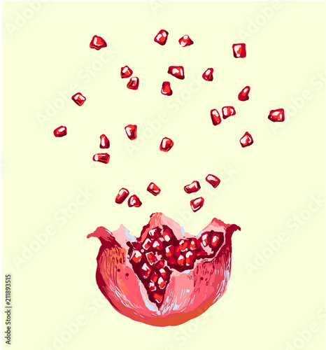 Pomegranate seed splash explosion , vector opened pomegranate illustration