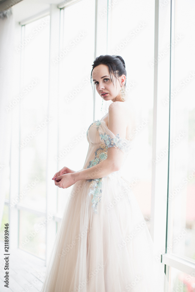 The young, adorable brunette woman in a dress standing near the window indoor The young, adorable brunette woman in a dress standing near the window indoor