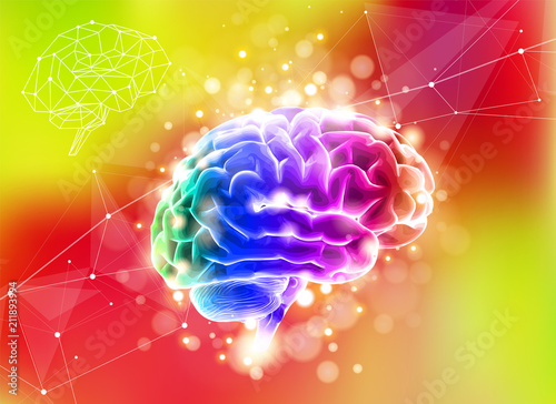 Fototapeta Naklejka Na Ścianę i Meble -  Human brain on a color technological background surrounded by information fields, neural networks, Internet webs - the concept of modern technology, biotechnology, artificial intelligence. Vector draw