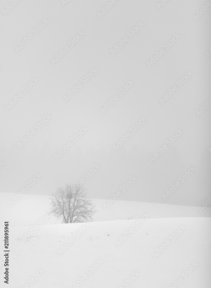 Fototapeta premium Aislamiento