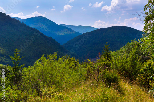 view from the clearing to the mountains of beautiful blue color © adamchuk_leo