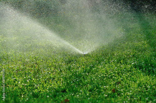 Garden Irrigation system spray watering lawn