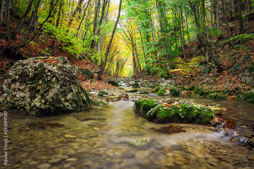 Beautiful autumn landscape with mountain river, stones and colorful trees. Mountain forest in Crimea.