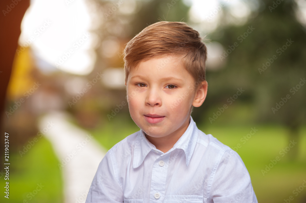Small beautiful brown-eyed boy first-grader is smiling and looking at the camera on a blurred background. Portrait of beautiful little preschool boy in a white shirt walking in the park Small beautiful brown-eyed boy first-grader is smiling and looking at the camera on a blurred background. Portrait of beautiful little preschool boy in a white shirt walking in the park