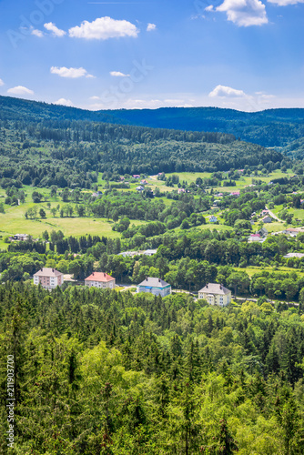 Green forest in the valley and town, landscape with houses, aerial view photo