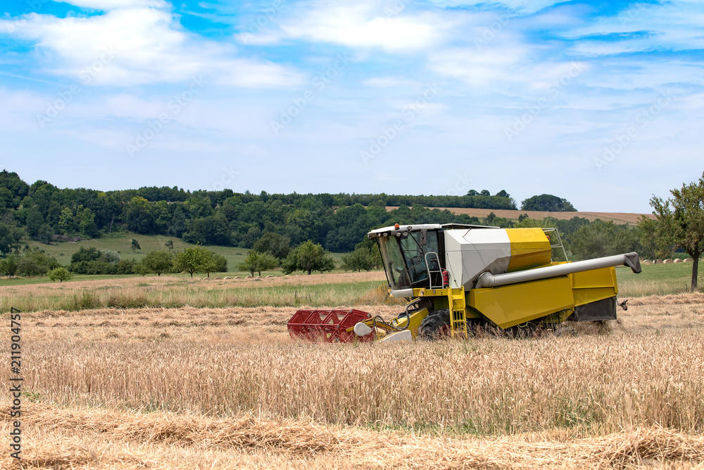 Obraz premium moissonneuse batteuse en activité sur le champ de céréales