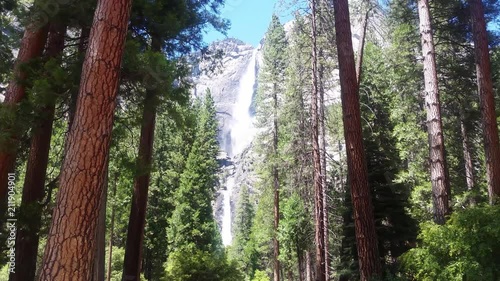 Yosemite Falls Upper and Lower through trees photo