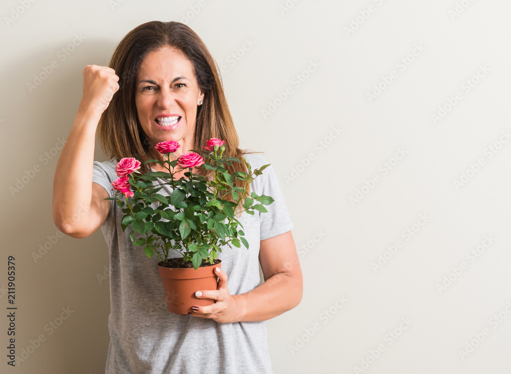 Middle age woman holding roses flowers on pot annoyed and frustrated shouting with anger, crazy and yelling with raised hand, anger concept Middle age woman holding roses flowers on pot annoyed and frustrated shouting with anger, crazy and yelling with raised hand, anger concept