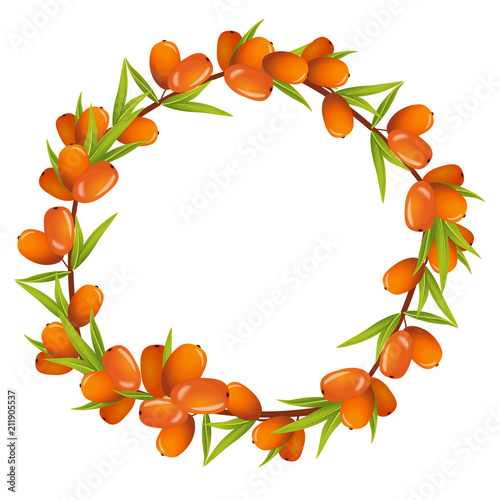 Wreath of Sea Buckthorn Berries with Place for Text
