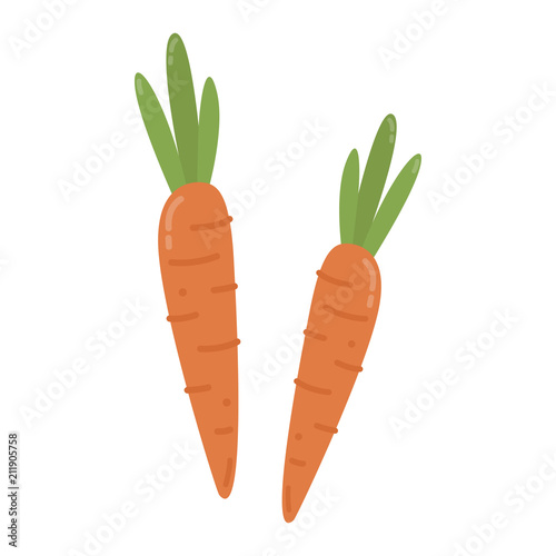 Healthy orange carrots graphic illustration