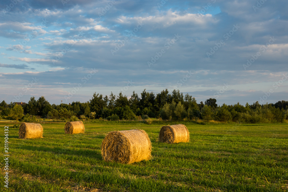 Landscape with bales of straw in the meadow