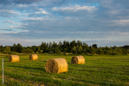 Obraz na płótnie Landscape with bales of straw in the meadow w salonie