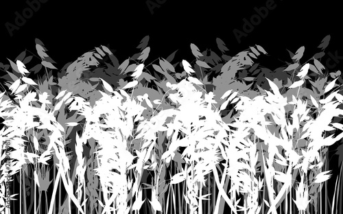 grey and white color oats silhouettes on black
