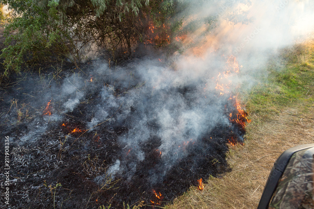 Forest wildfire. Burning field of dry grass and trees. Heavy smoke against blue sky. Wild fire due to hot windy weather in summer. rescuer inspecting disaster area by atv quad bike Forest wildfire. Burning field of dry grass and trees. Heavy smoke against blue sky. Wild fire due to hot windy weather in summer. rescuer inspecting disaster area by atv quad bike