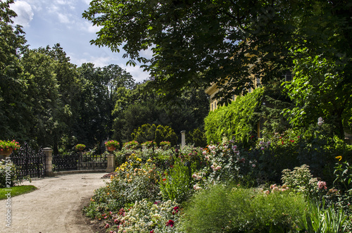 ogród park 