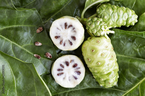Noni fruit or Morinda Citrifolia and noni slice with seed isolated on green leaves of the noni background with copy space for text. Top view.