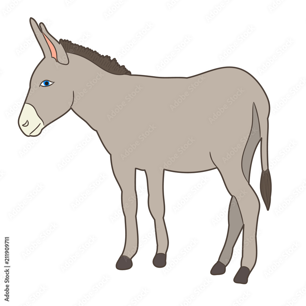 vector, isolated donkey standing in front of white background