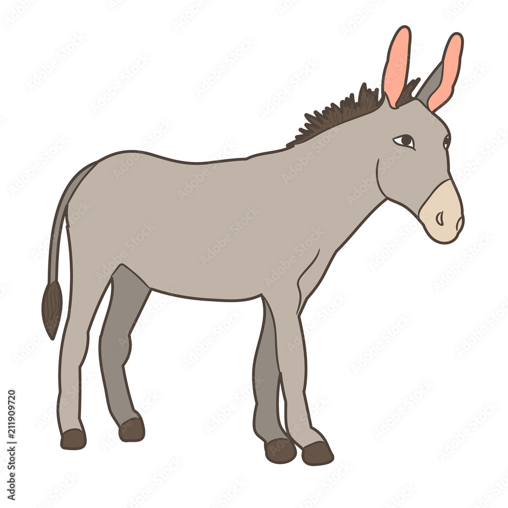 gray donkey standing on white background