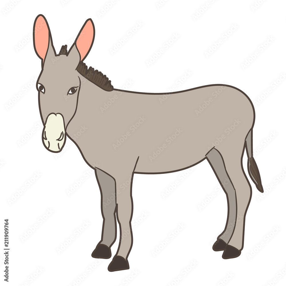 vector, isolated donkey gray