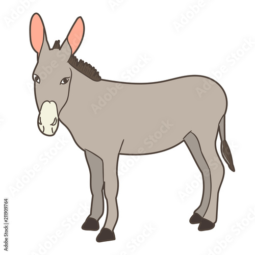 vector  isolated donkey gray