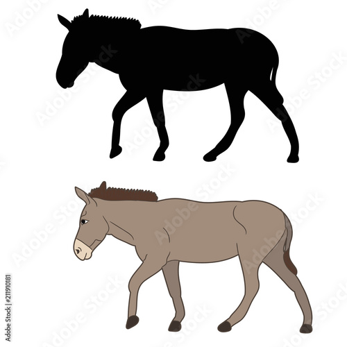 vector  isolated  silhouette of a donkey goes on a white background