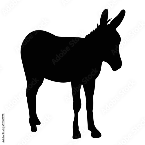 vector, isolated black silhouette of a donkey