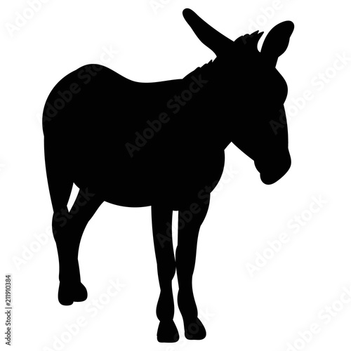 isolated silhouette of a donkey