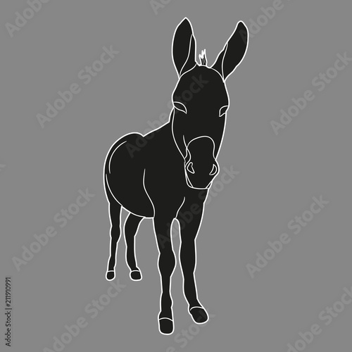 vector isolated silhouette of a donkey, mule