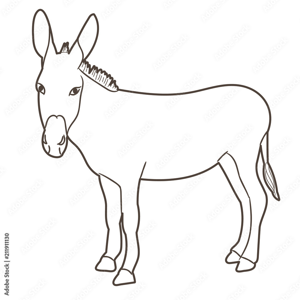 vector, isolated sketch of a donkey standing