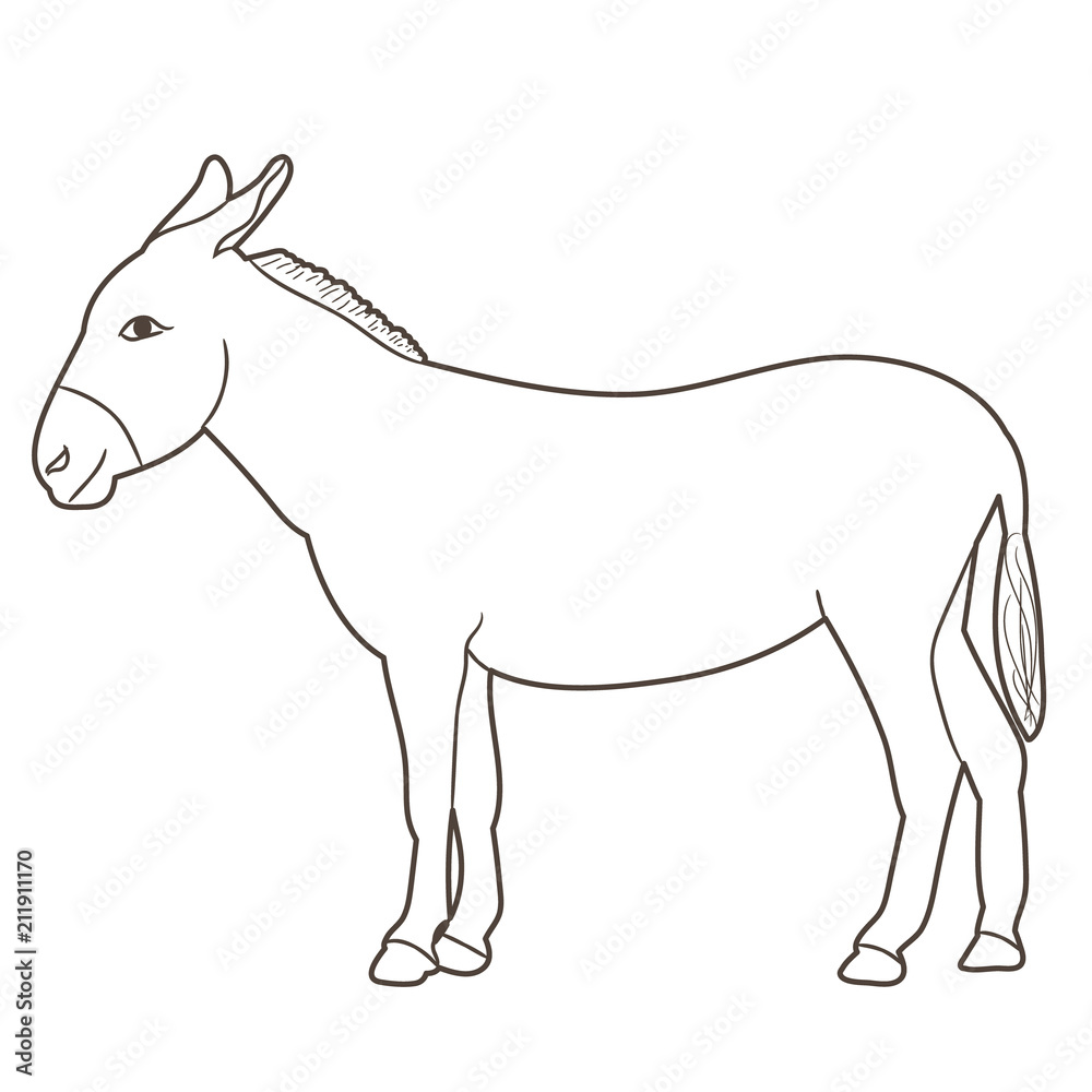 donkey sketch alone