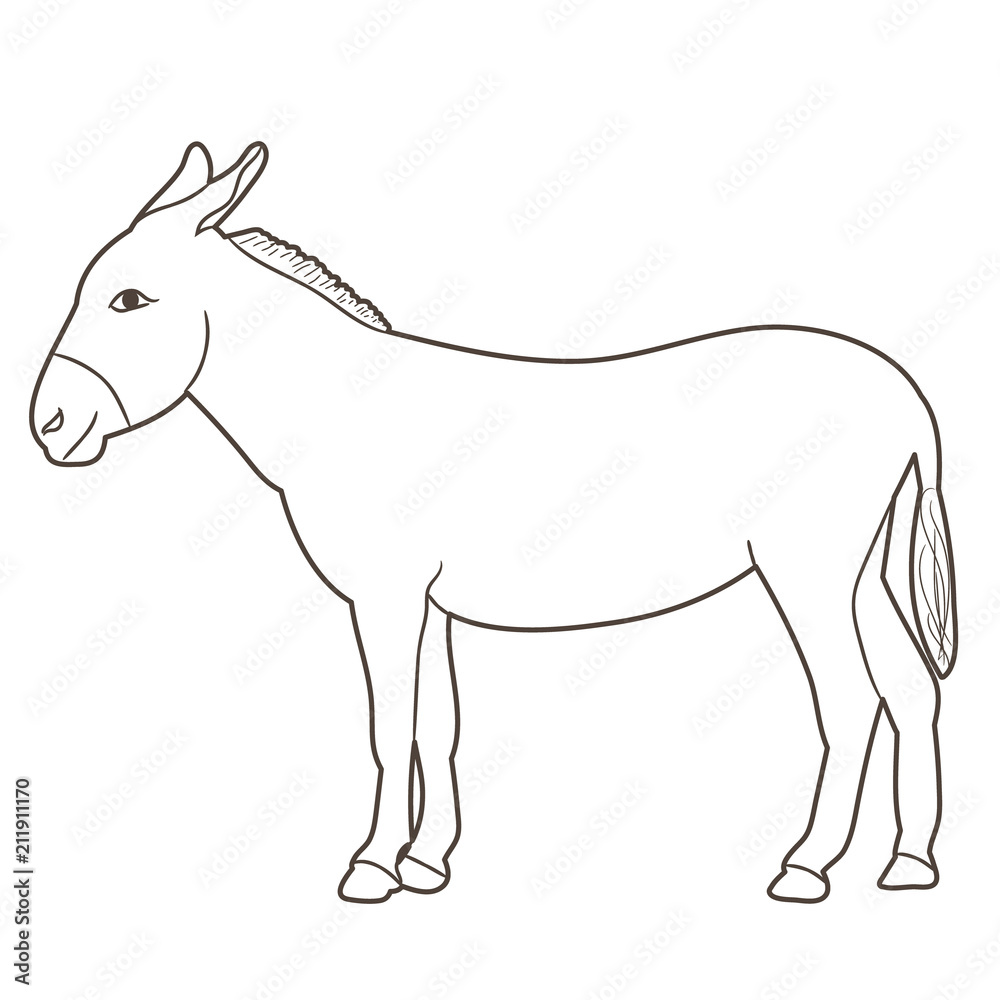 donkey sketch alone donkey sketch alone