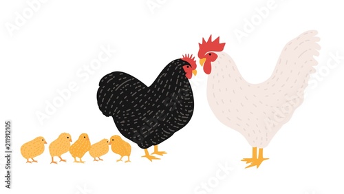 Family of cock and chicken. Collection of rooster, hen and brood of chicks isolated on white background. Flock of domestic poultry or farm birds. Cartoon colorful hand drawn vector illustration.